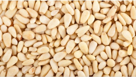Wine Judges Beware! Pine Nuts Are The Enemy!